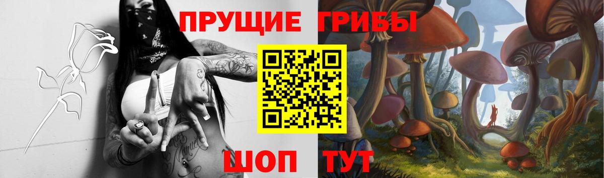 Псилоцибиновые грибы прущие грибы  Псилоцибиновые грибы прущие грибы  Вход с VPN  Междуреченск 